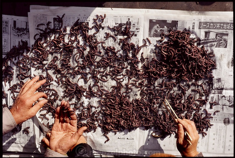 9 dac san Nhat khong phai ai cung dam gap anh 8