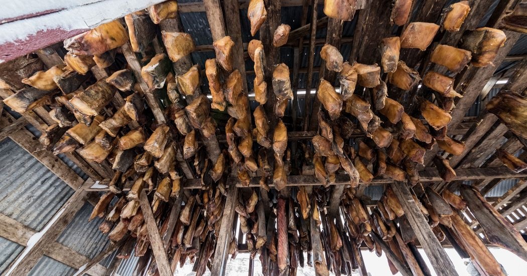 Dac san dang so cua chau Au anh 1