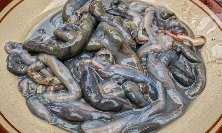 Nhung dac san dang so cua Dong Nam A anh 8