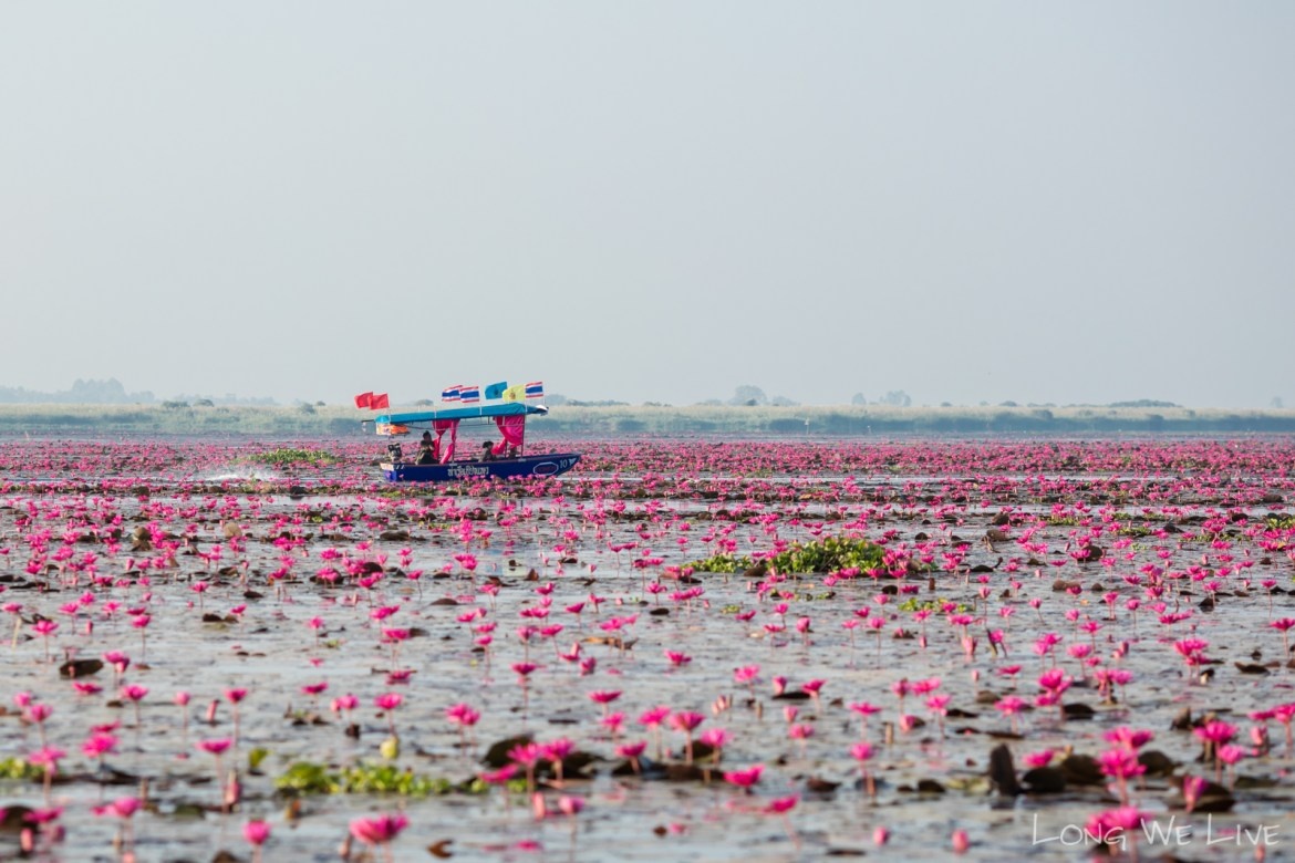 Ho hoa sung khong lo o Thai Lan anh 7