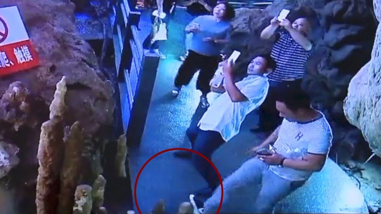 Hanh dong xau xi cua du khach nam 2017 anh 9