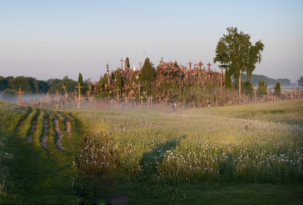 Ngon doi ky bi co hang nghin cay thap tu hinh anh