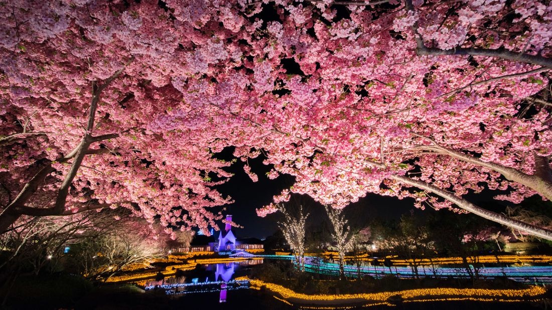 Le hoi anh sang voi hang trieu bong den o Nhat anh 7