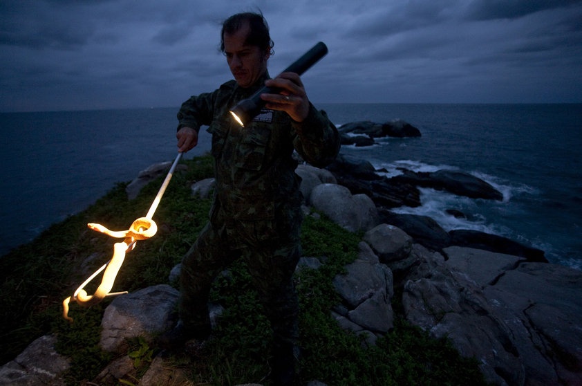 Dao day ran doc o Brazil anh 8