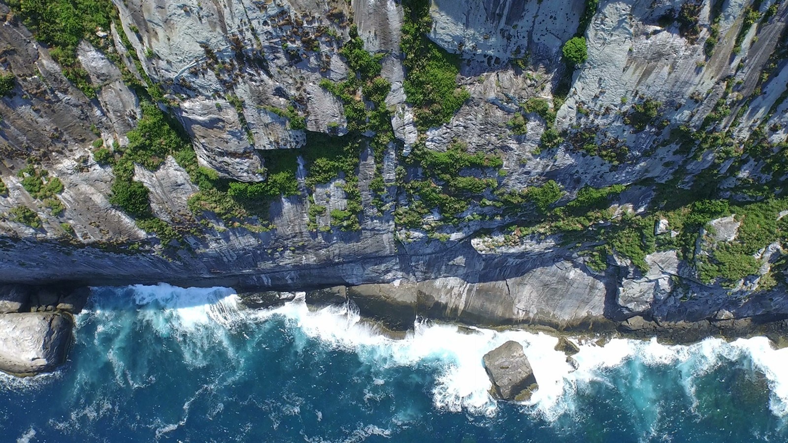 Dao day ran doc o Brazil anh 2