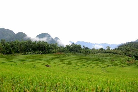 Que cua thu mon Tien Dung anh 3