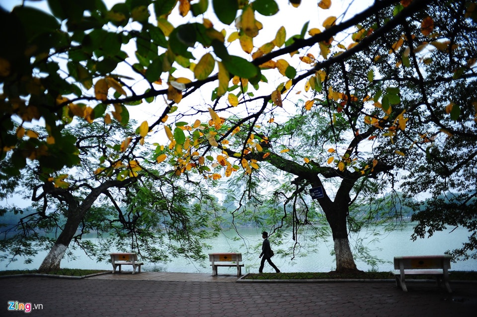 An gi,  choi dau o que tien dao Quang Hai? anh 10