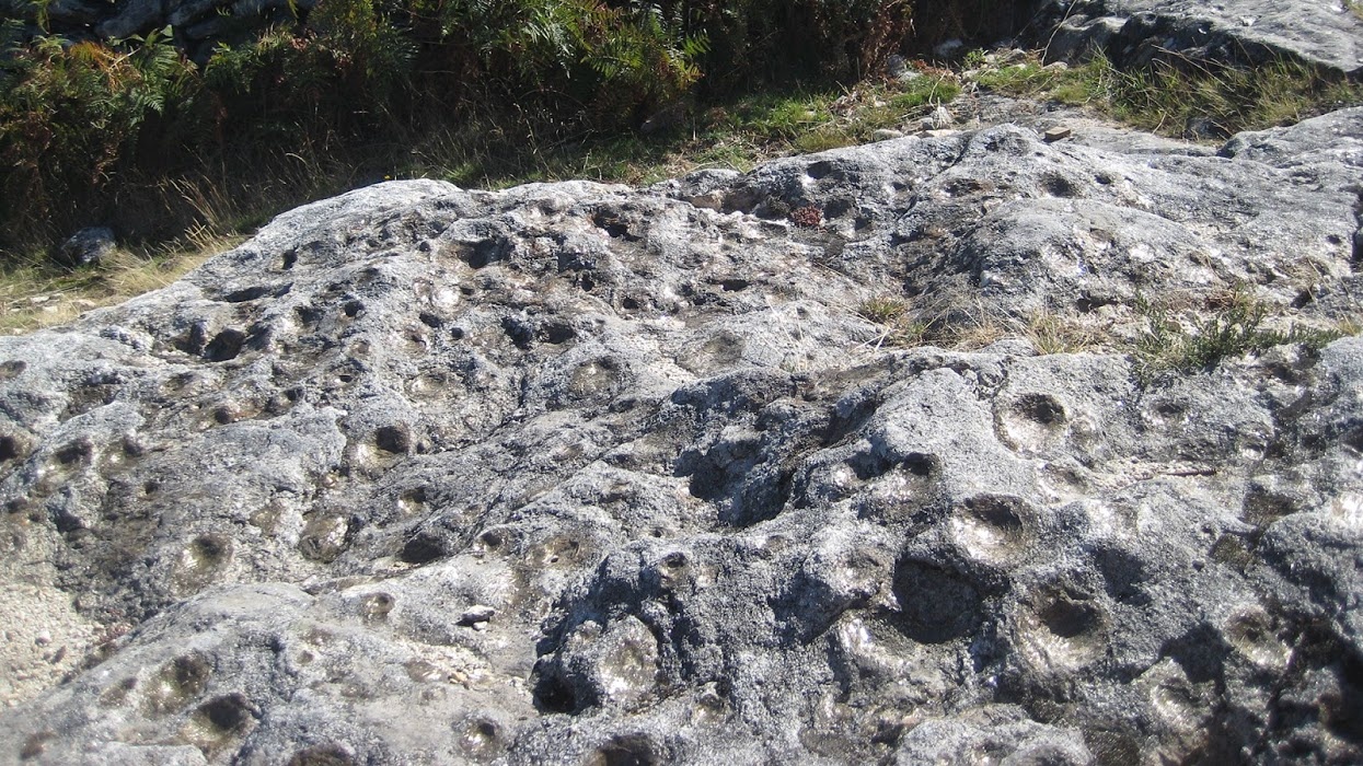 Tang da “sinh con” bi an o Bo Dao Nha anh 1