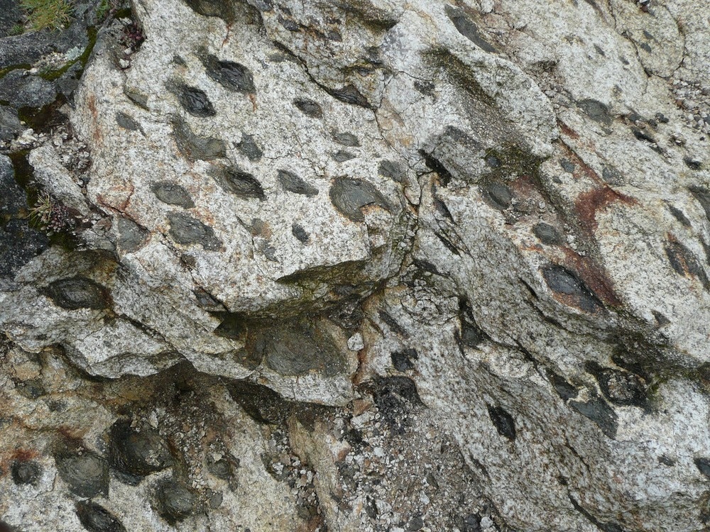 Tang da “sinh con” bi an o Bo Dao Nha anh 2