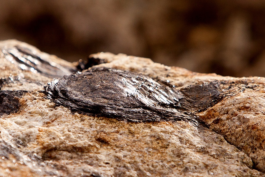 Tang da “sinh con” bi an o Bo Dao Nha anh 3