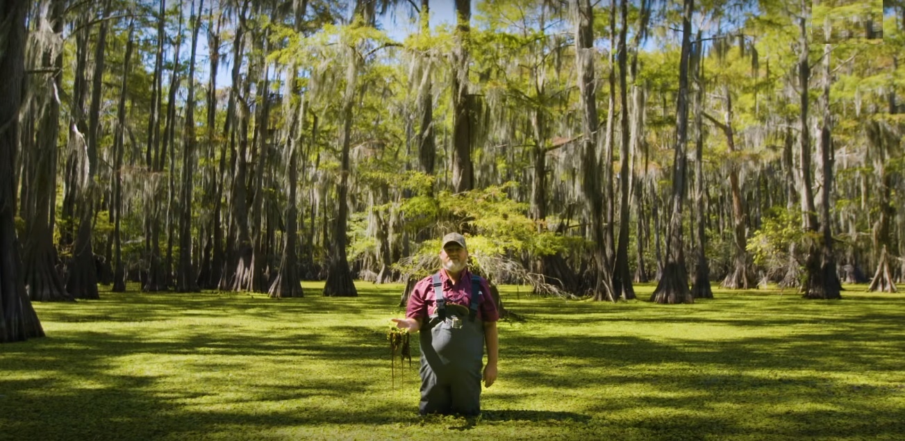 Cuoc chien suot 20 nam chong beo ong cuu ho nuoc o My hinh anh