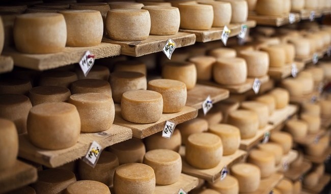 Dac san pho mai gioi cua Italy khien du khach xanh mat anh 2