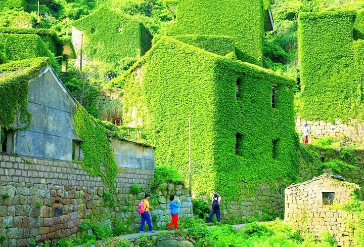 Ngoi lang bi day leo ‘nuot chung’ tren dao hoang hinh anh