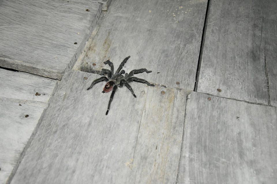 Chang trai Viet di vong quanh the gioi da toi rung ram Amazon anh 9