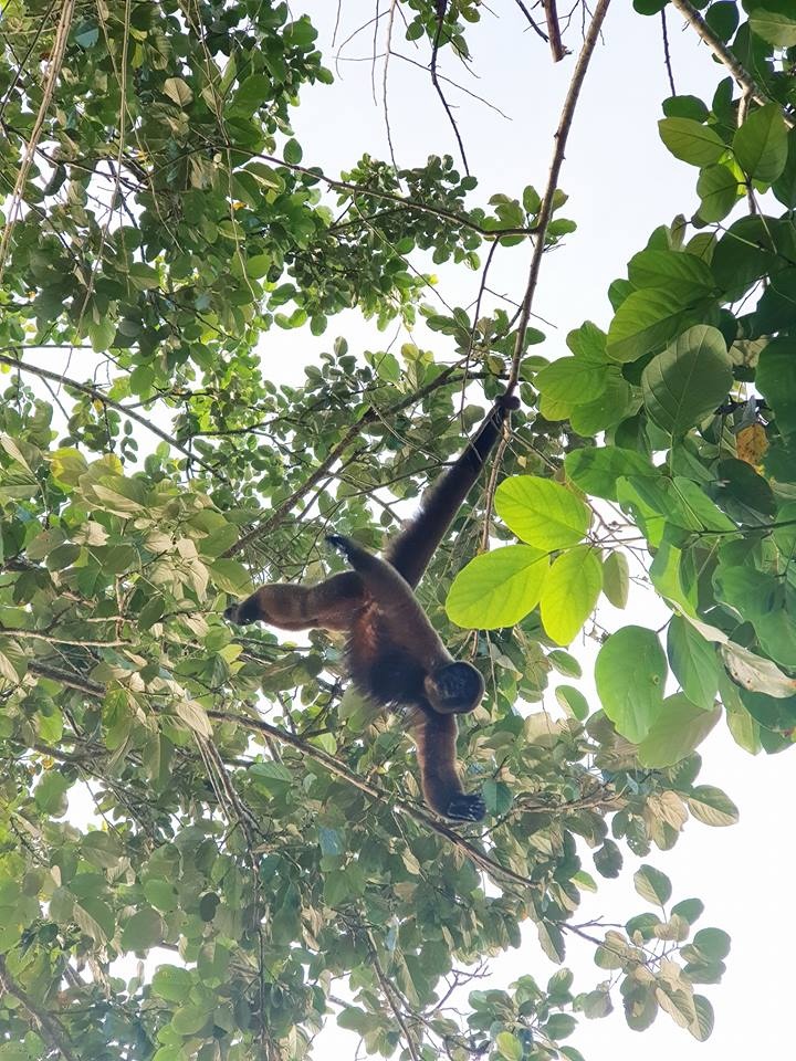 Chang trai Viet di vong quanh the gioi da toi rung ram Amazon anh 4