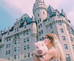 Chu lon con duoc chu du khap My va Canada hinh anh