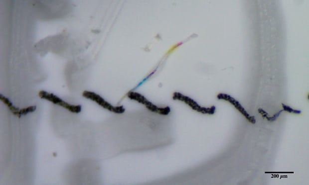 Phat hien hat nhua sieu nho trong hon 90% nuoc dong chai hinh anh