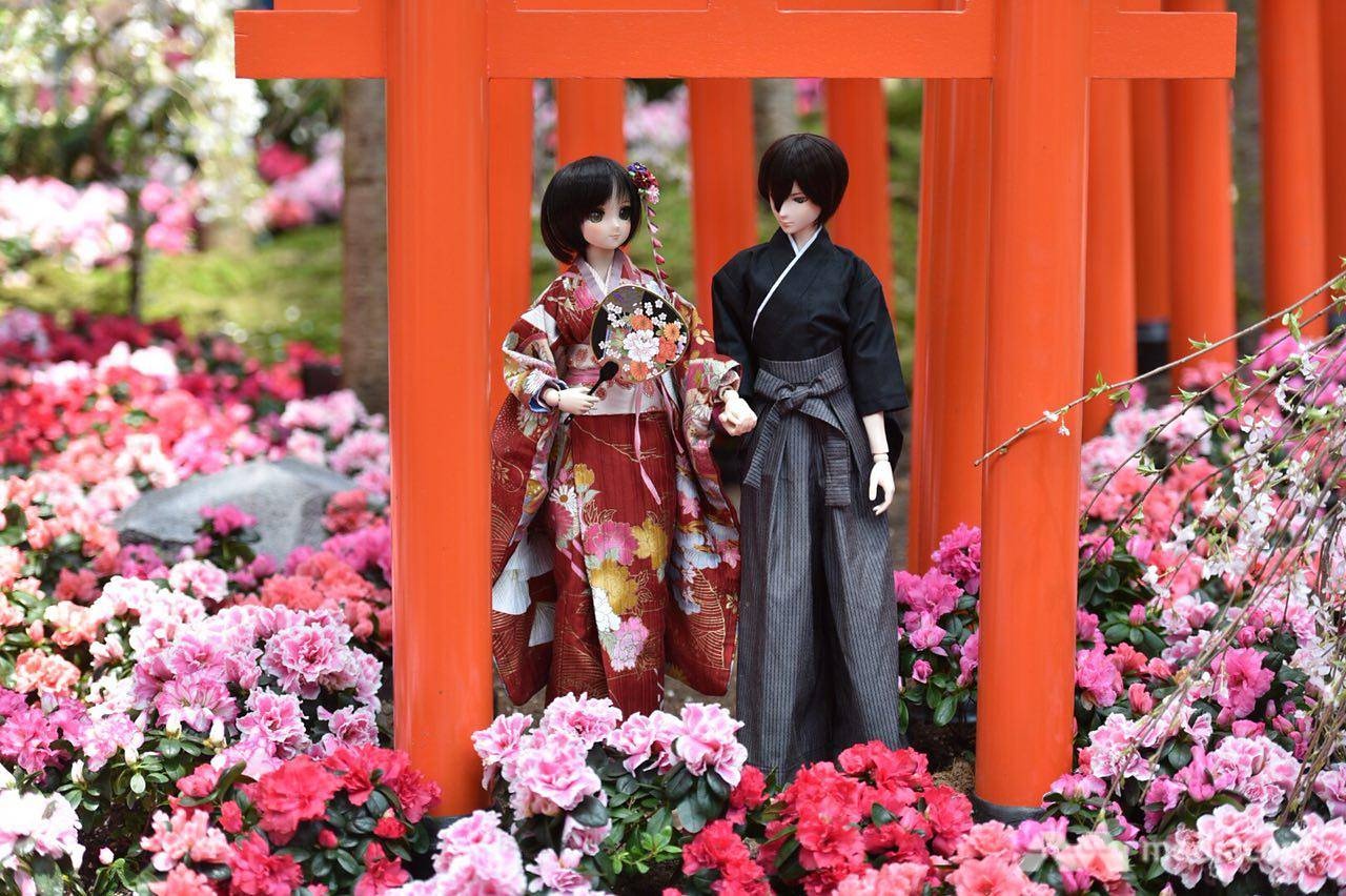 Le hoi anh dao Singapore duoc to chuc trong nha kinh 19 do C anh 10