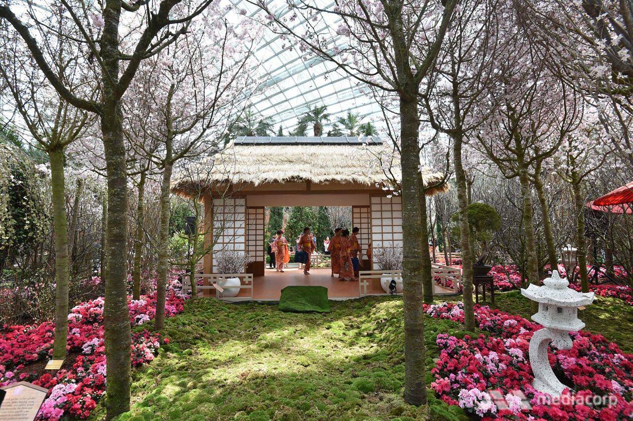 Le hoi anh dao Singapore duoc to chuc trong nha kinh 19 do C hinh anh