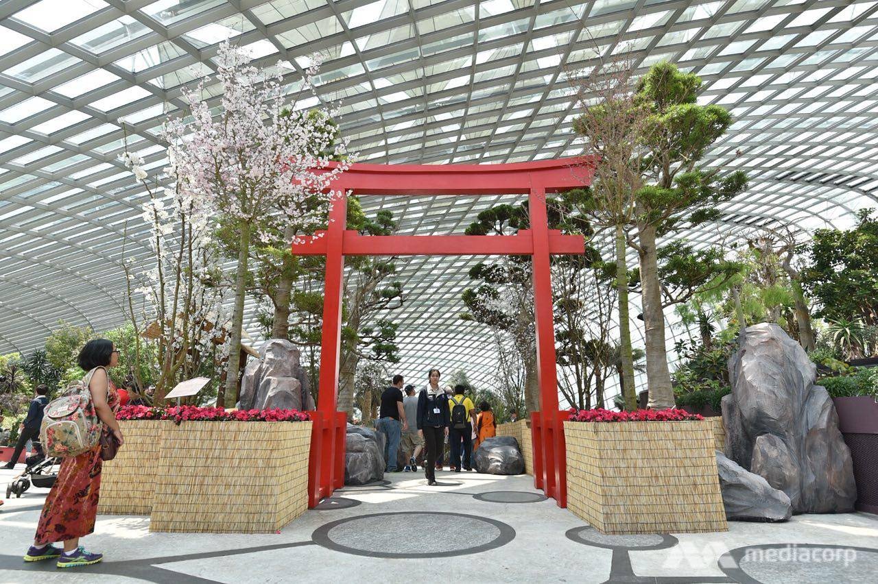 Le hoi anh dao Singapore duoc to chuc trong nha kinh 19 do C anh 3