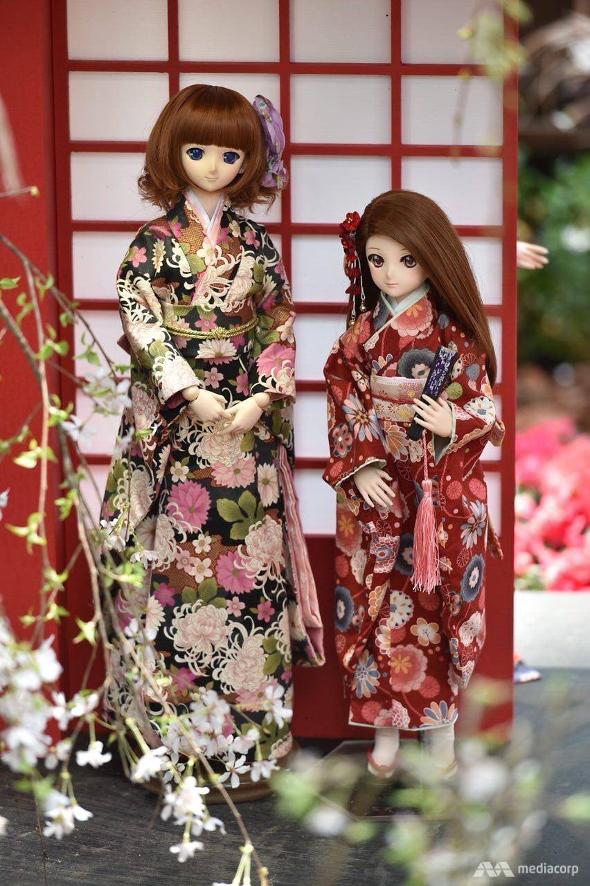 Le hoi anh dao Singapore duoc to chuc trong nha kinh 19 do C anh 4