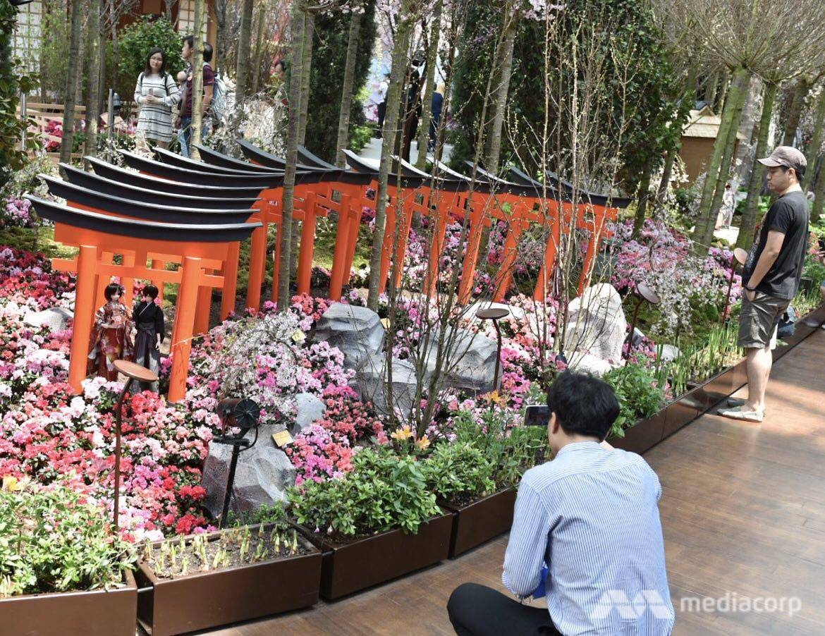 Le hoi anh dao Singapore duoc to chuc trong nha kinh 19 do C anh 5