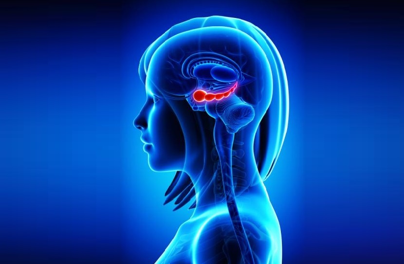 Nao ngung san xuat neuron sau tuoi 13? hinh anh