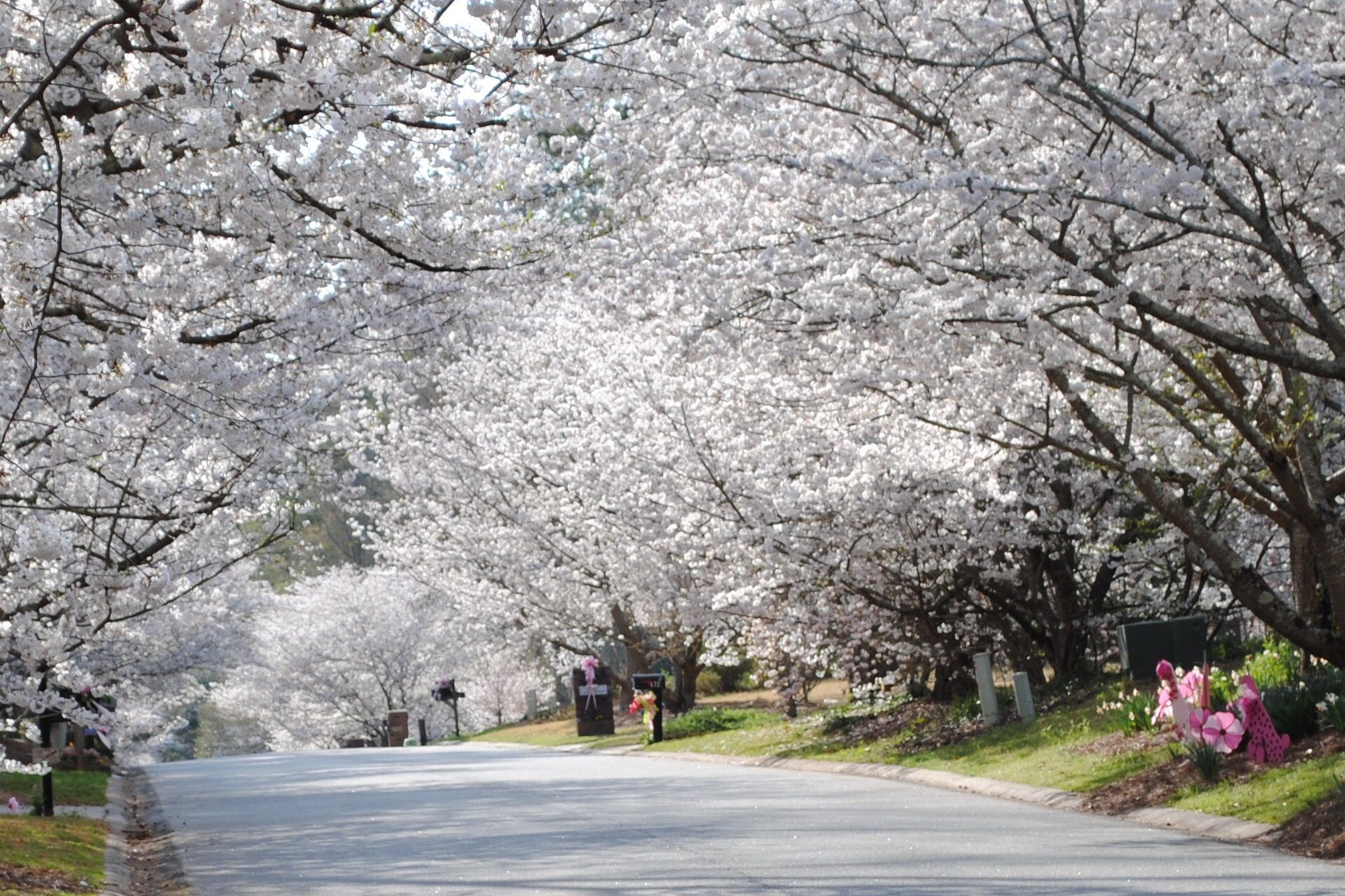 Khong phai Nhat,  day moi la thu do anh dao cua the gioi anh 3