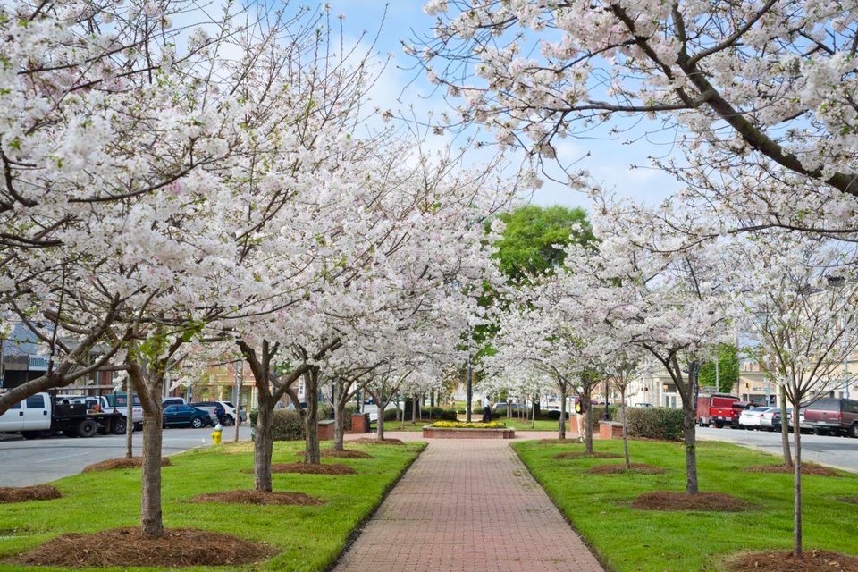 Khong phai Nhat,  day moi la thu do anh dao cua the gioi anh 6