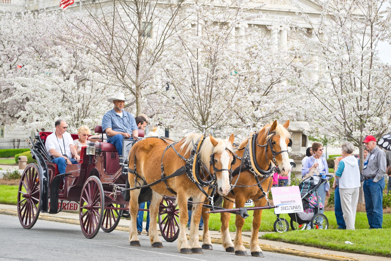 Khong phai Nhat,  day moi la thu do anh dao cua the gioi anh 8