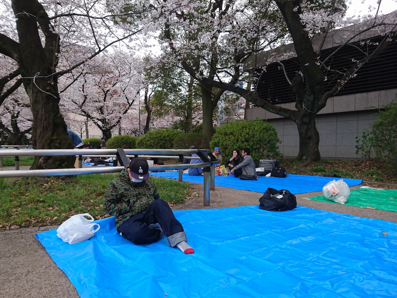 Nhung dieu de tranh mat mat voi nguoi Nhat khi di ngam anh dao anh 4