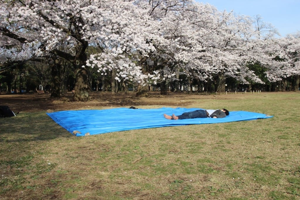 Nhung dieu de tranh mat mat voi nguoi Nhat khi di ngam anh dao anh 5