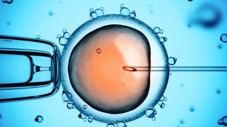 IVF thay doi the nao tu khi em be dau tien sinh ra trong ong nghiem? hinh anh