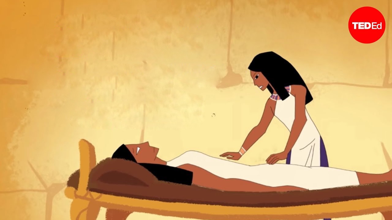 Mot ngay cua bac si thoi Ai Cap co hinh anh