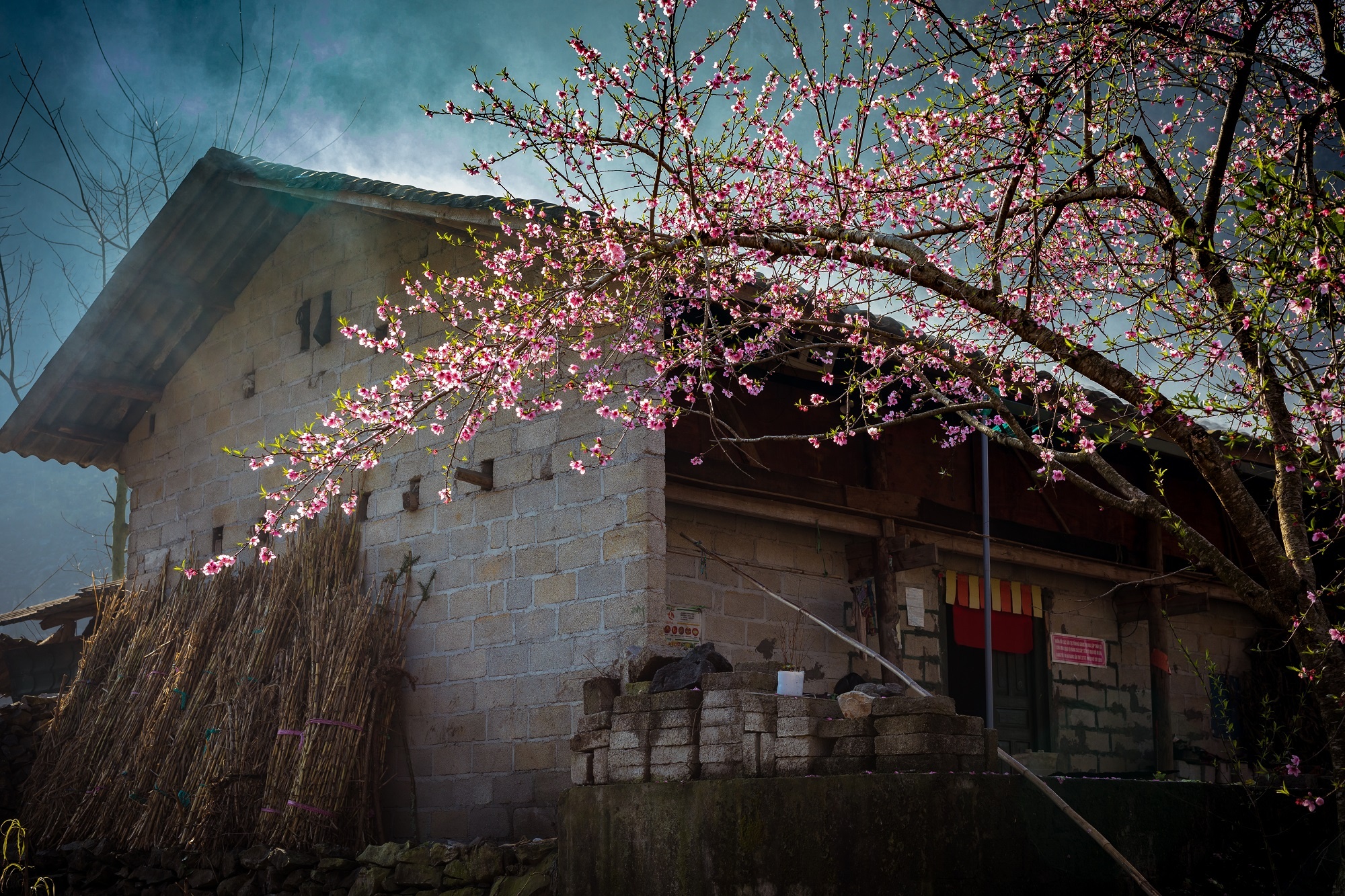 Goi uu dai du lich Grab anh 4