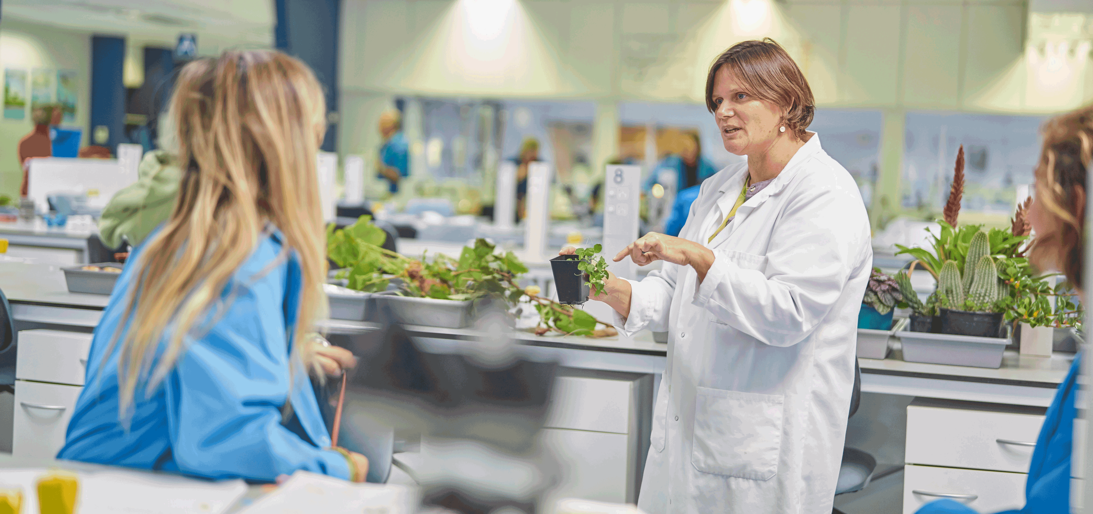 Du hoc New Zealand anh 4