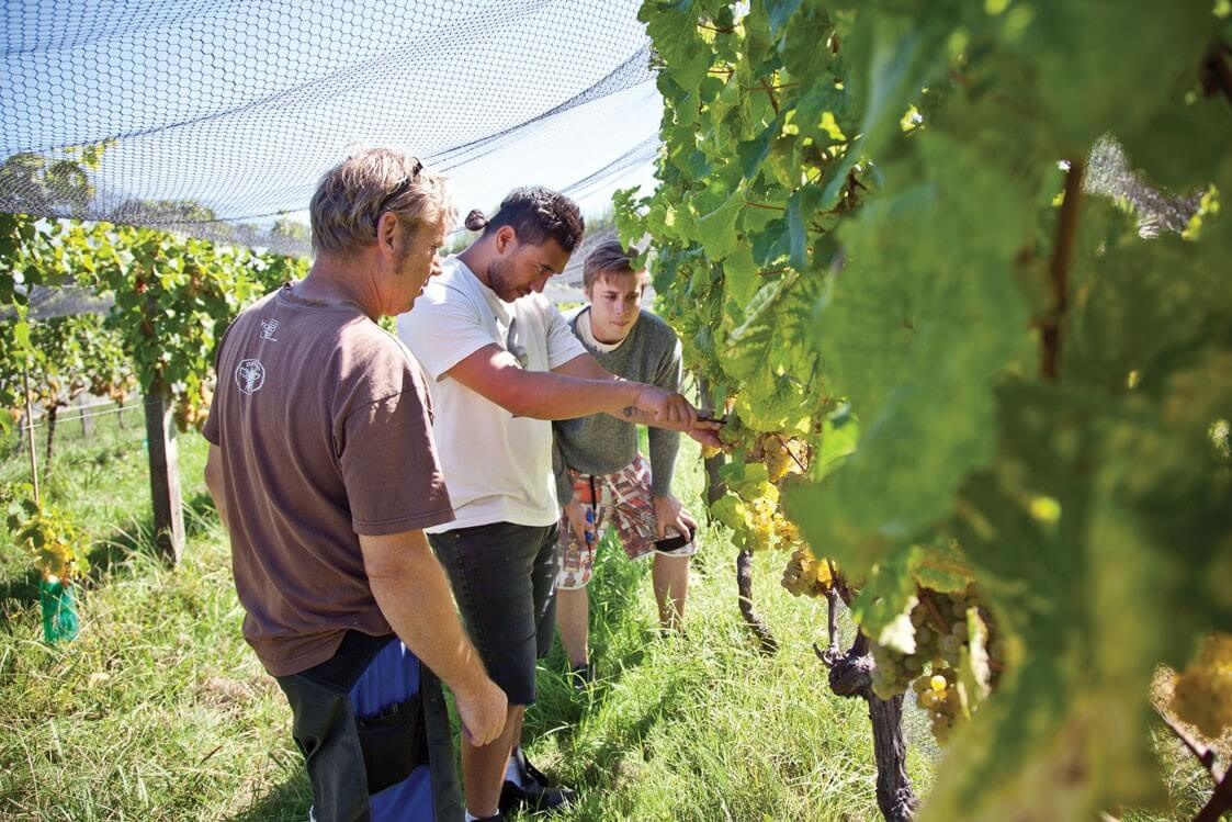 Du hoc New Zealand anh 3