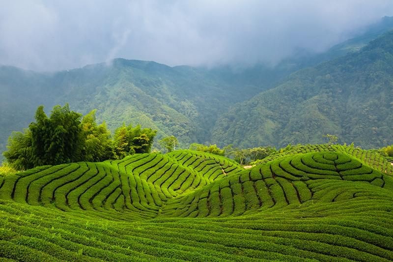 Đạp xe khắp Đài Loan ảnh 2 Dap xe khap Dai Loan anh 2