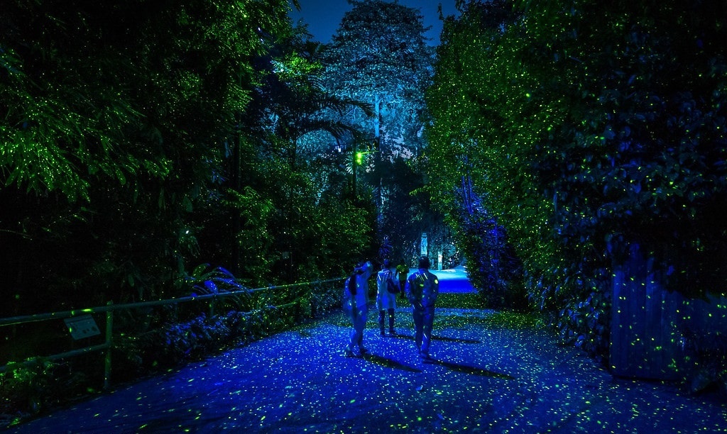 Singapore mở cửa ảnh 1 Singapore mo cua anh 1