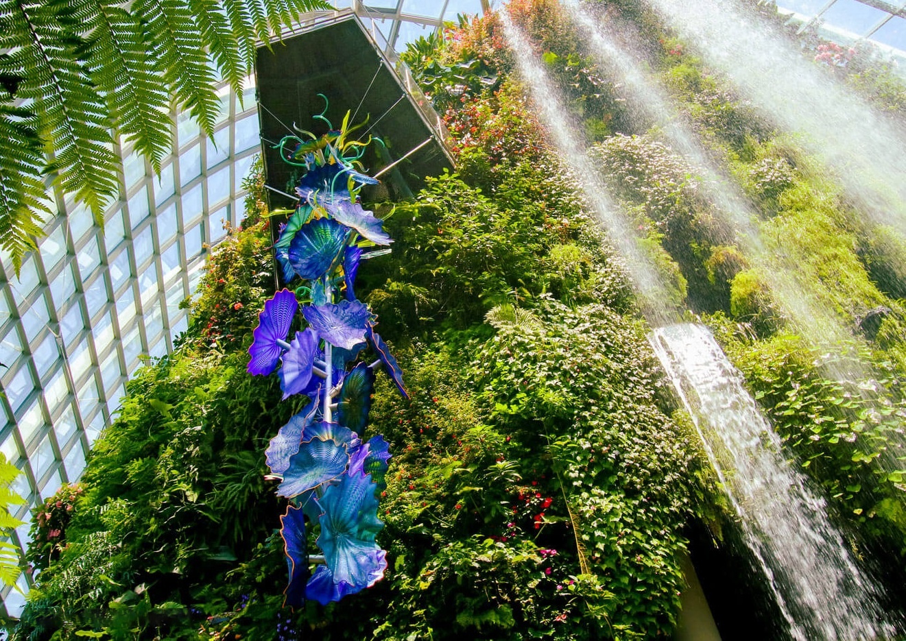 Singapore mở cửa ảnh 7 Singapore mo cua anh 7