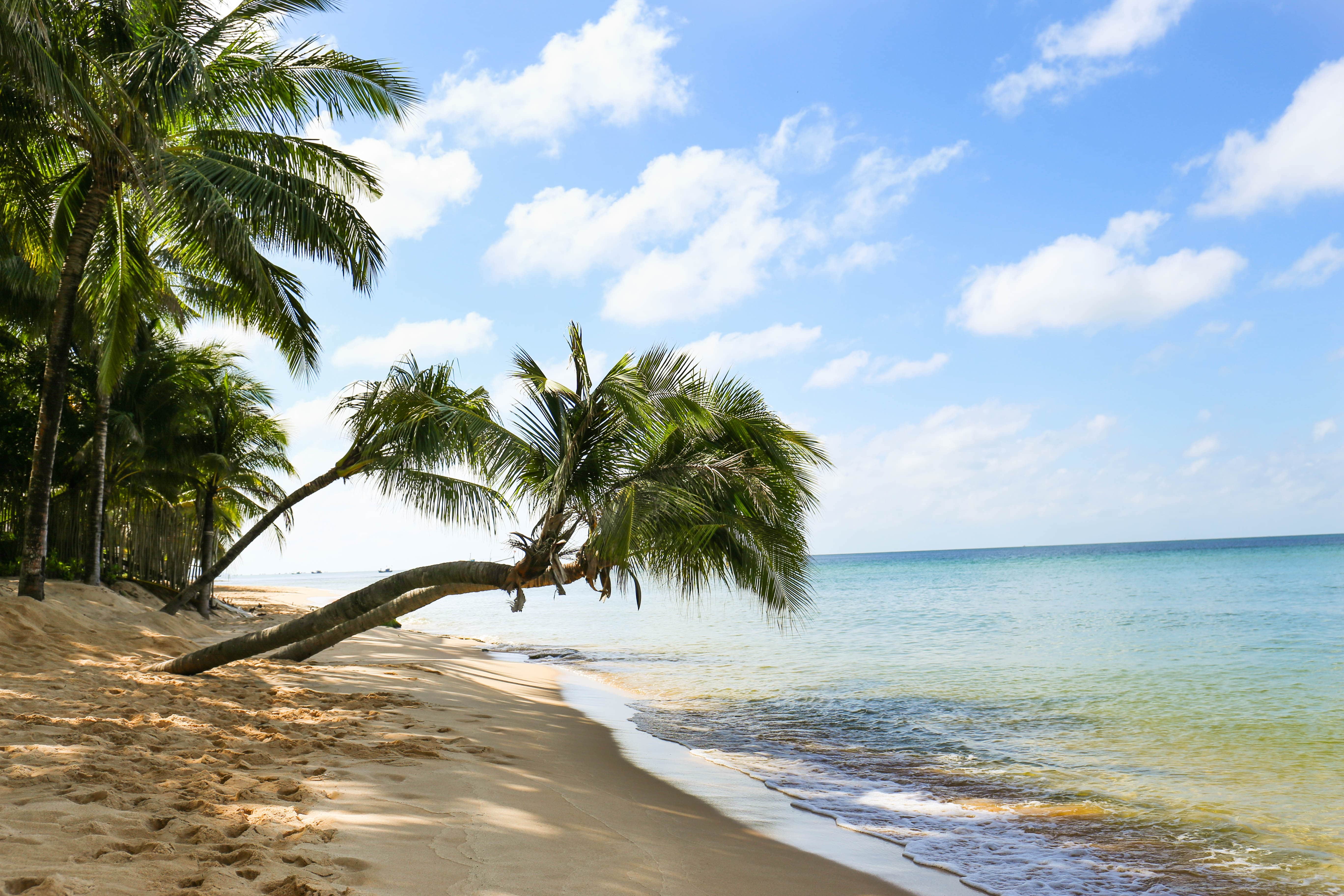 nghi duong khep kin anh 12