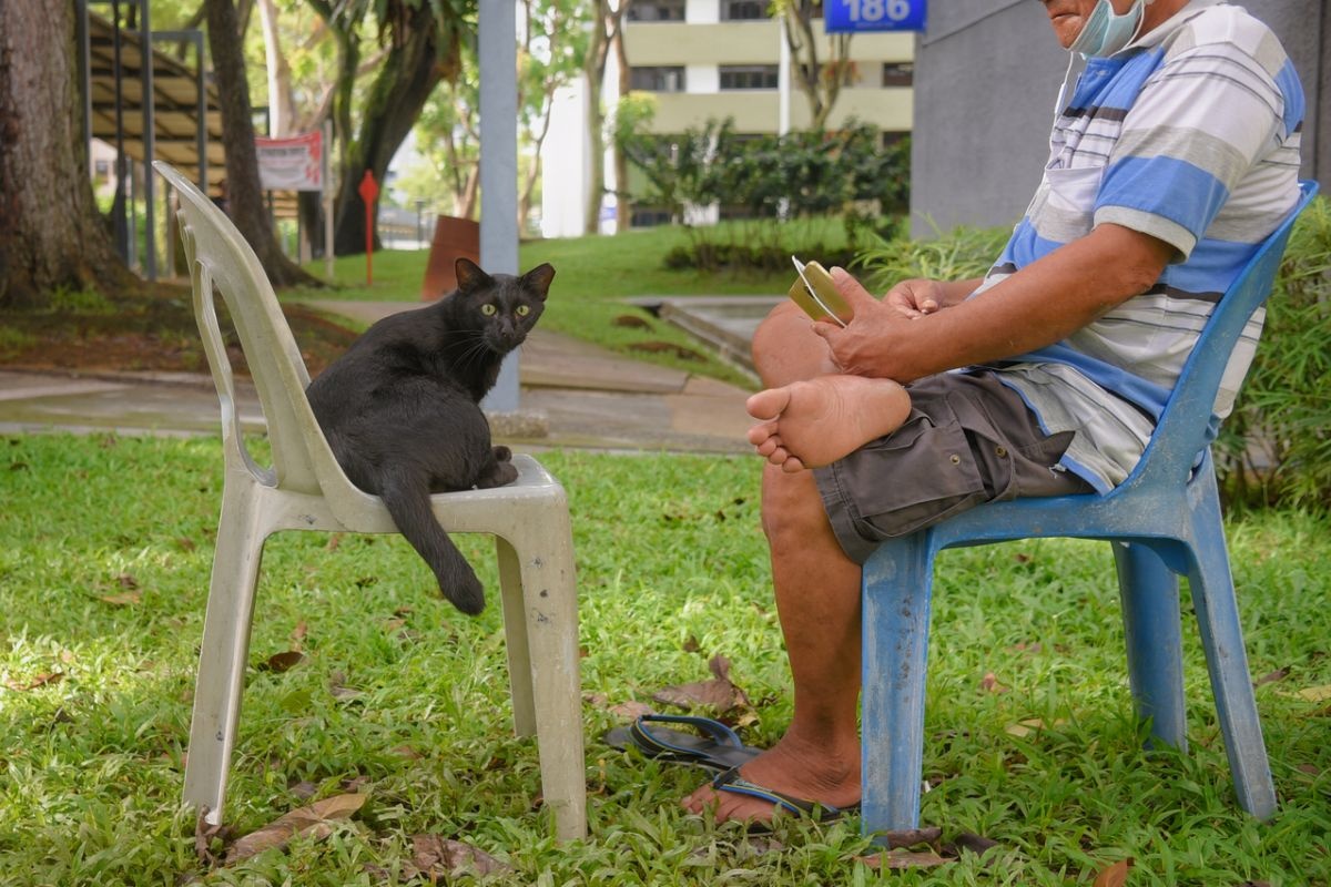 gian cach xa hoi o Singapore anh 2