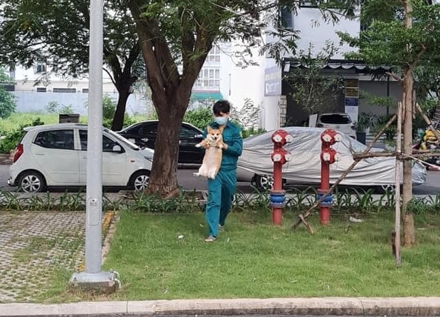 Di choi khi dang phong toa, chu cho duoc be ve o TP.HCM hinh anh