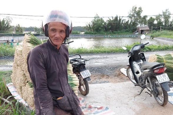 Nguoi dan ong Tien Giang thu hoach sa gui tang dan TP.HCM hinh anh