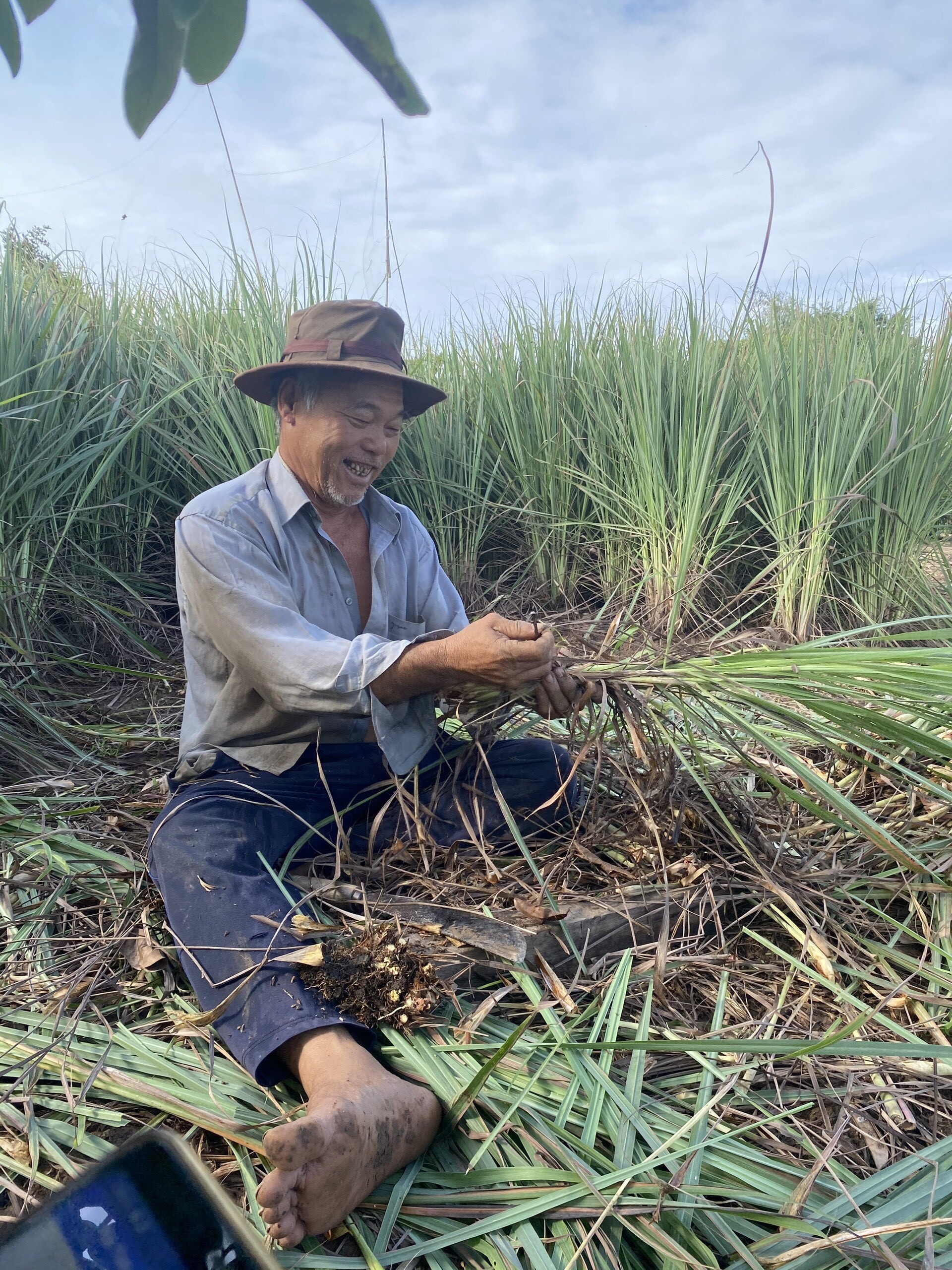 Cu ong Tien Giang thu hoach sa tang nguoi dan TP.HCM anh 2