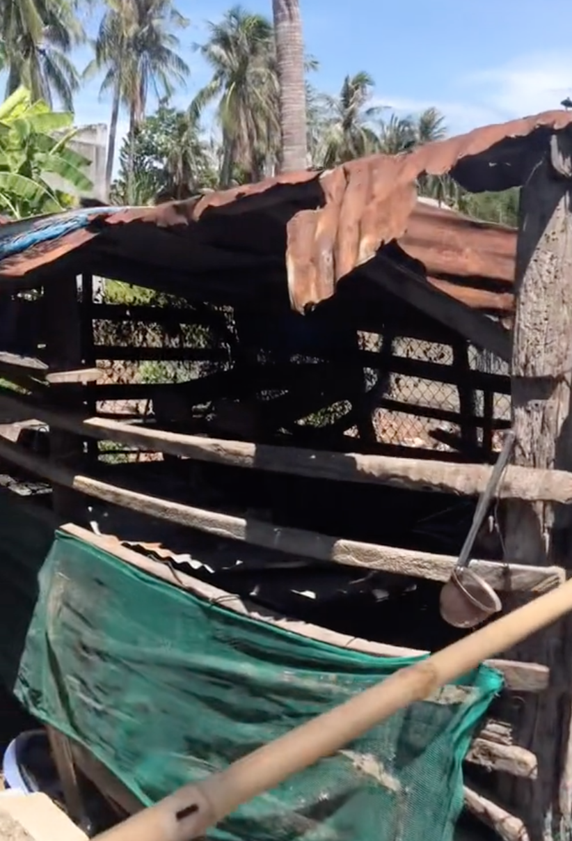 dựng lều cách ly ngoài vườn ảnh 3 dung leu cach ly ngoai vuon anh 3