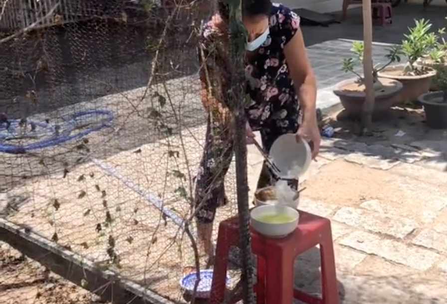 dựng lều cách ly ngoài vườn ảnh 4 dung leu cach ly ngoai vuon anh 4