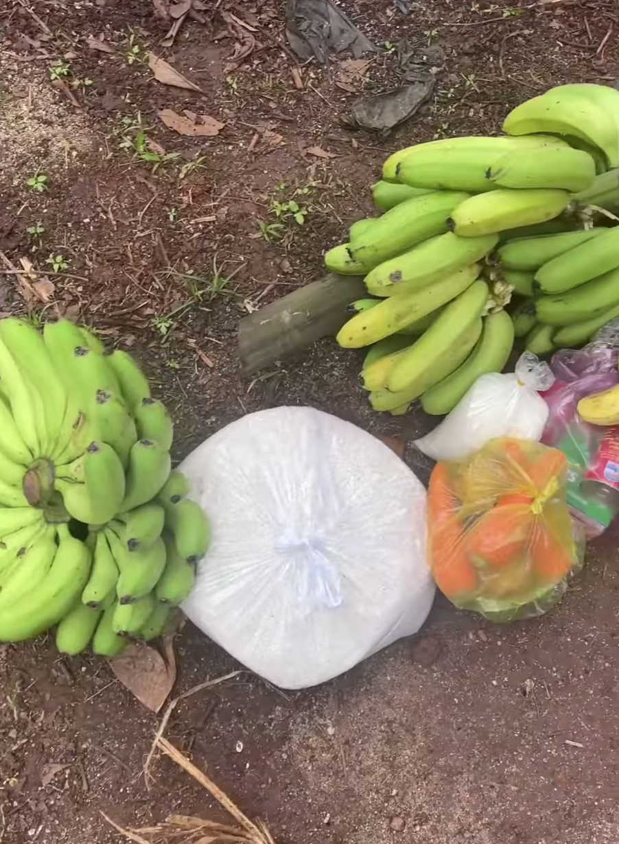 tu cach ly tren ray anh 6