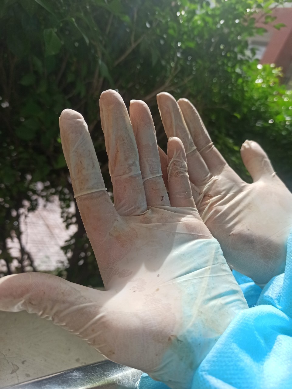 TNV do de cho san phu anh 4