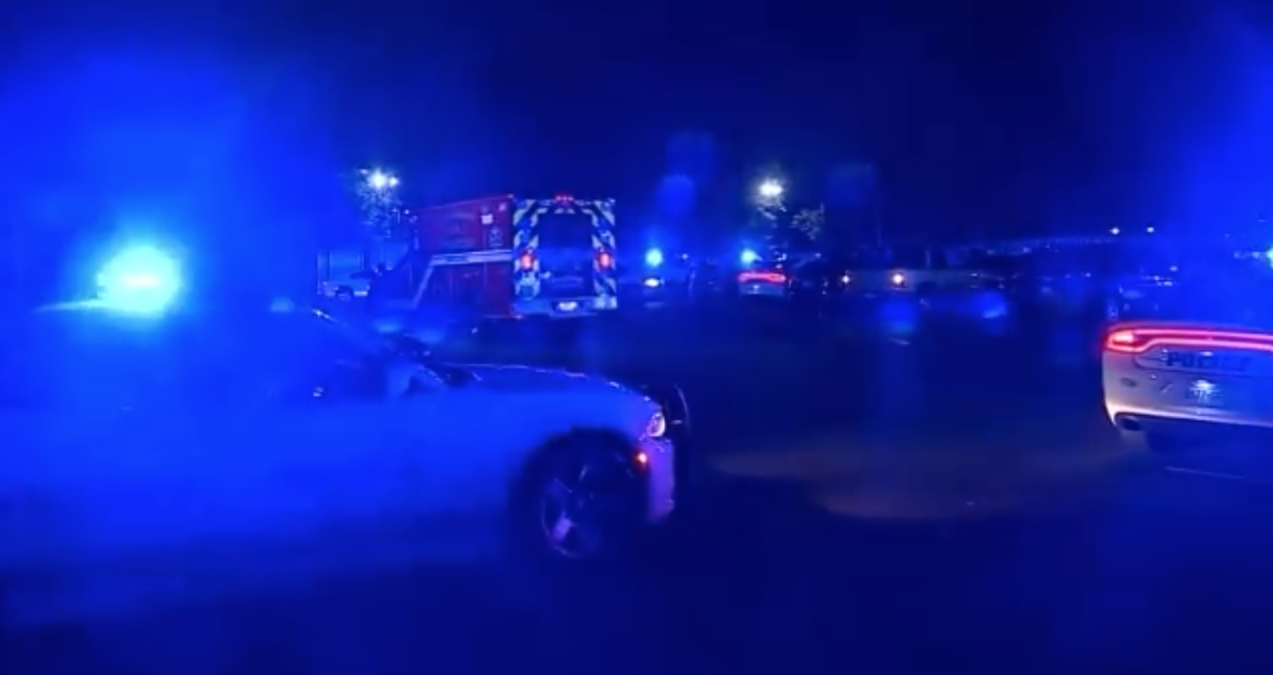 co dau can canh sat anh 1